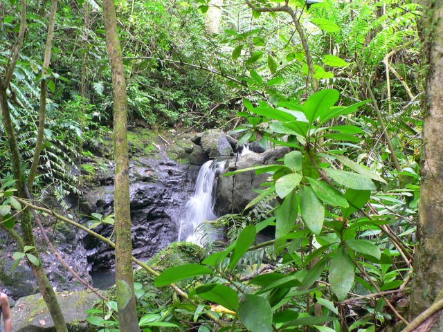 86- L'eau ruisselle partout 